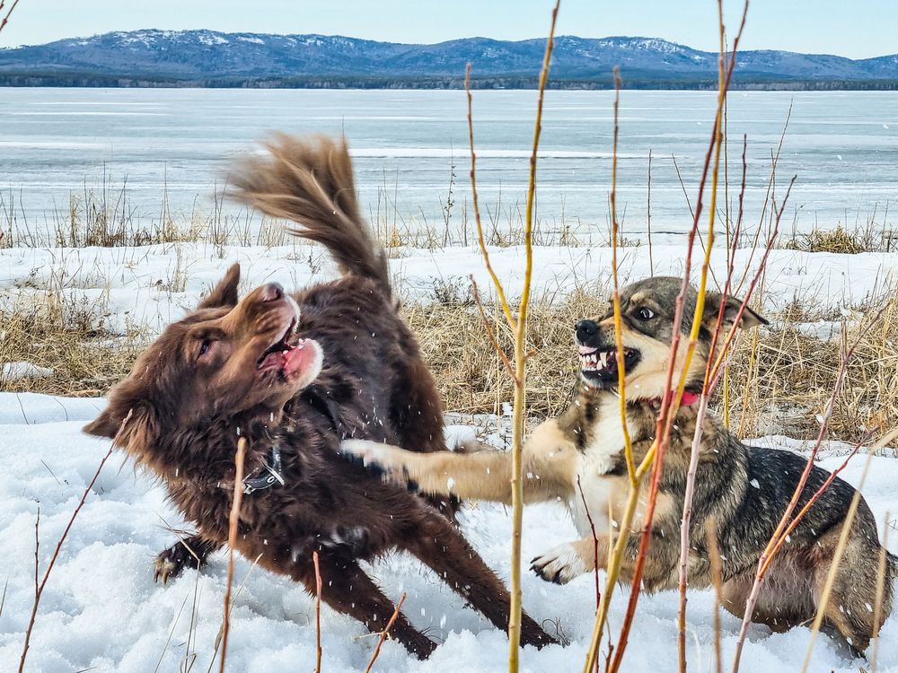 Photograph by Андрей Баталов