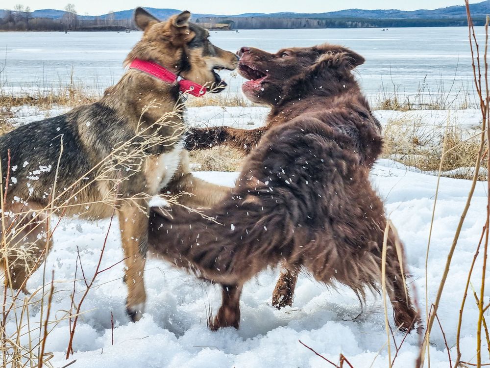 Photograph by Андрей Баталов