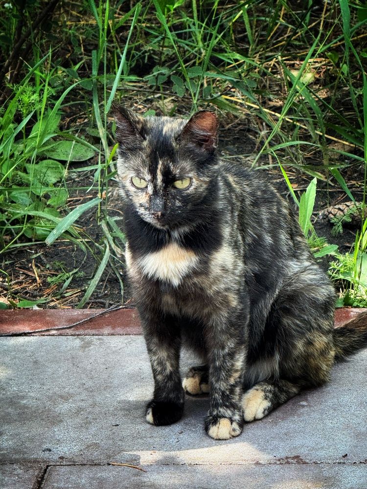 Photograph by Ирина Голомб