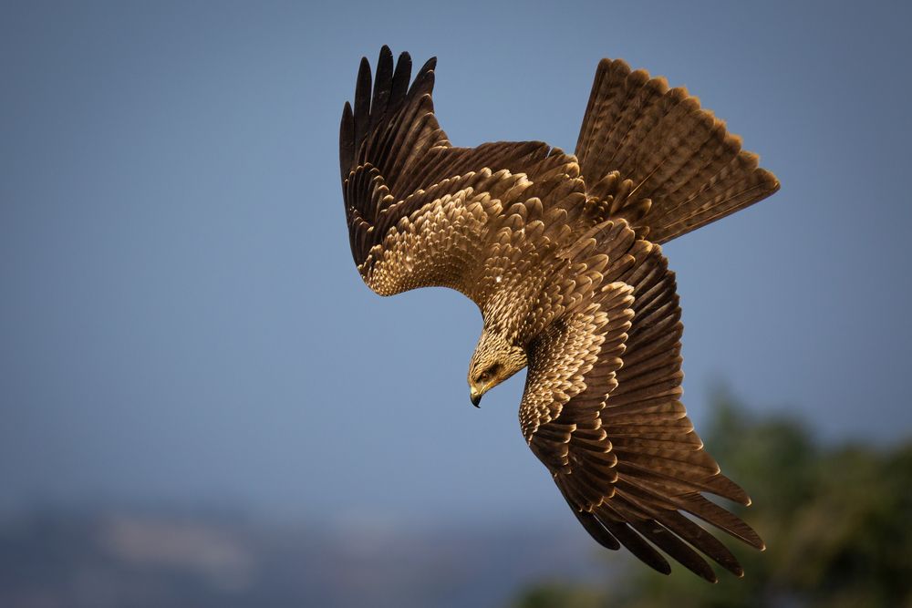 Photograph by Георгий