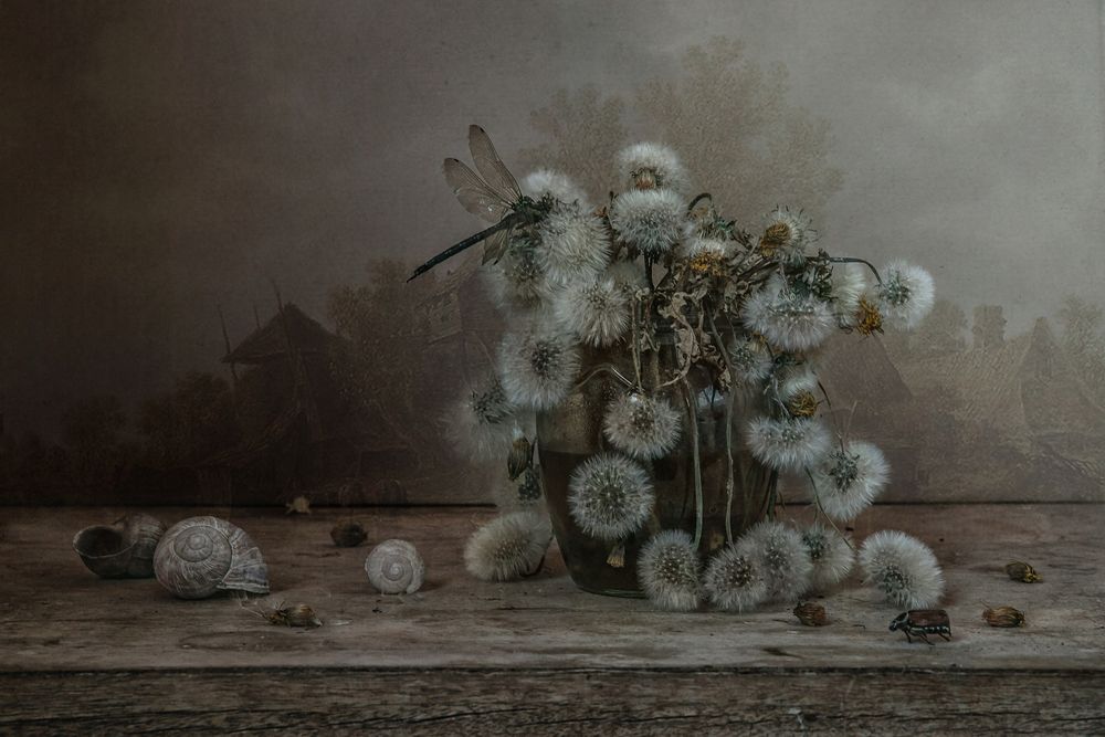 Фотография автора Анна Петина
