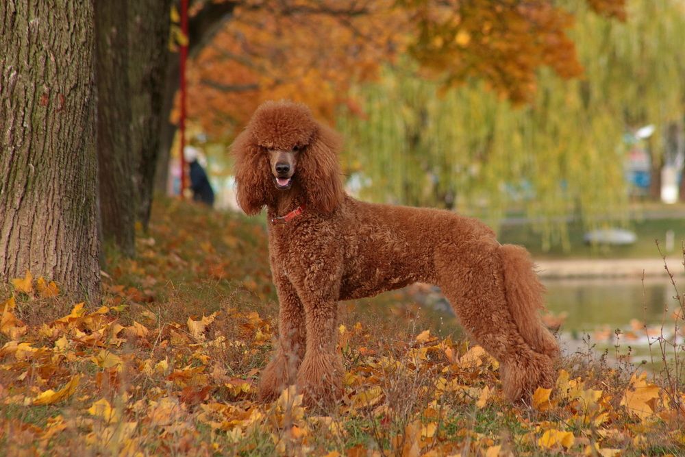 Фотография автора Александр Кожевников