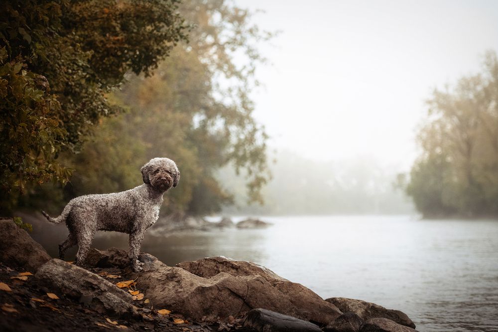 Photograph by Chantal Levesque