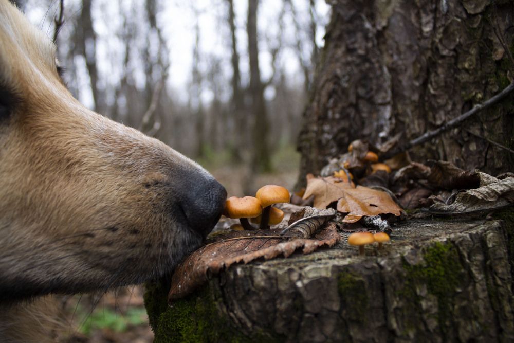 Photograph by Мария Бобылева