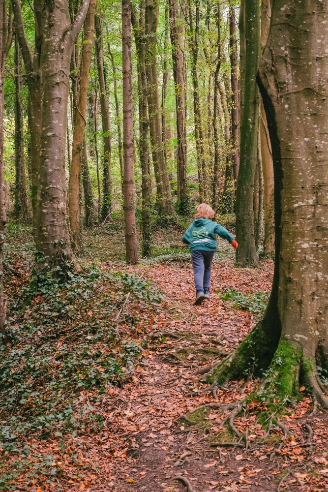 Фотография автора Voilmy Elliot