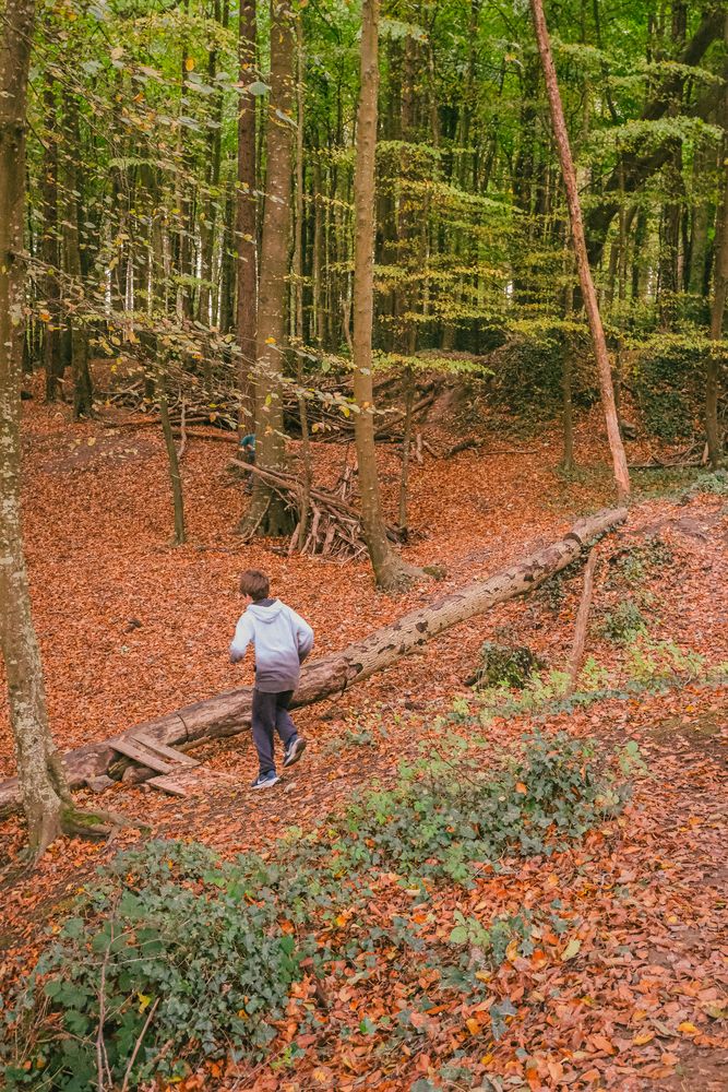 Фотография автора Voilmy Elliot