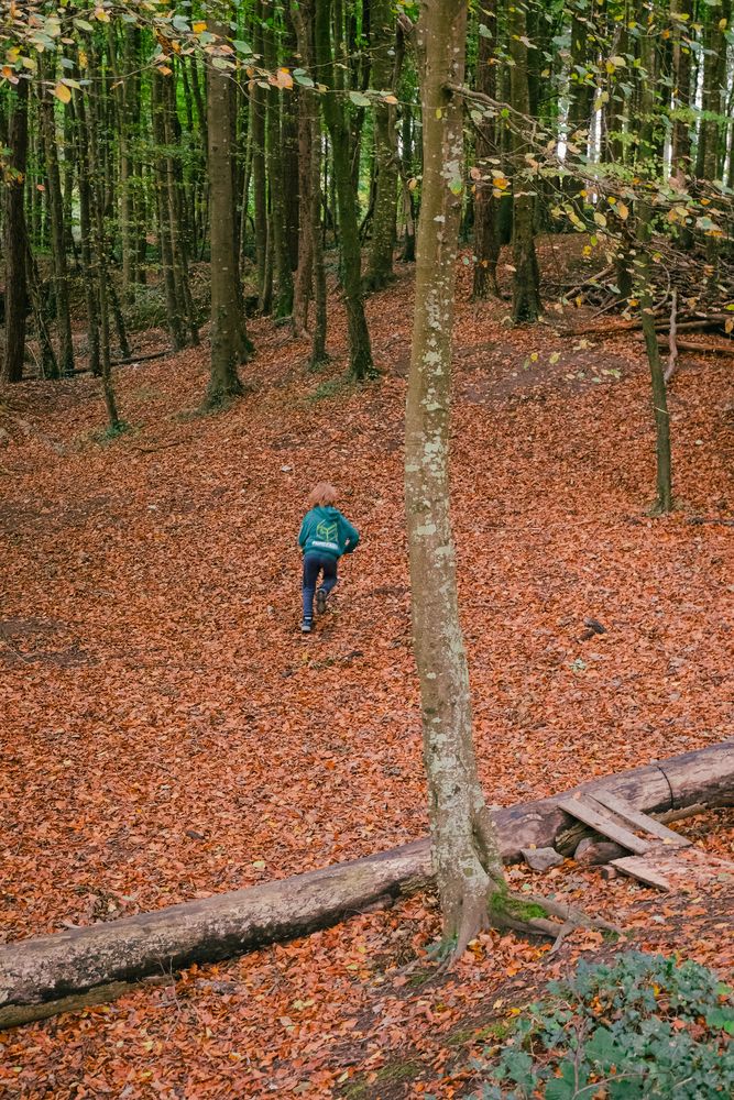 Фотография автора Voilmy Elliot