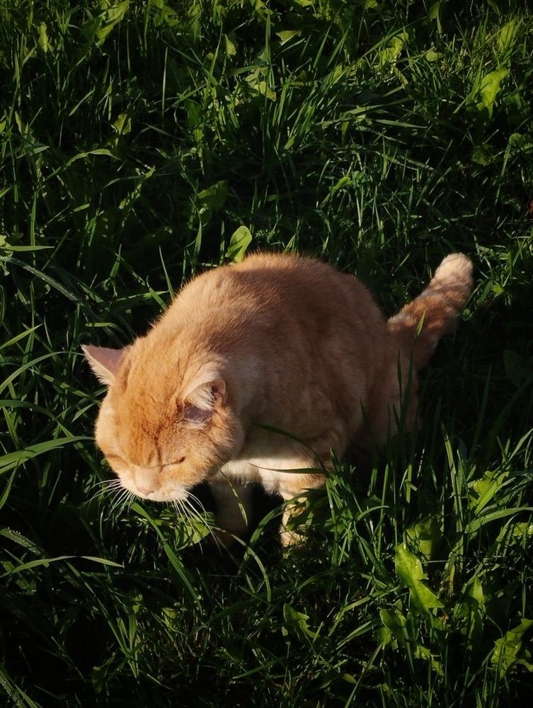 Photograph by Ия Дирко