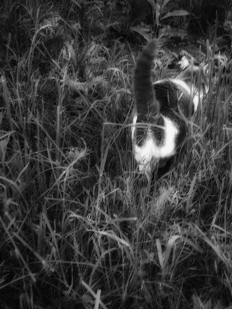 Photograph by Ия Дирко