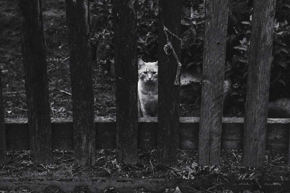 Photograph by Zhenya
