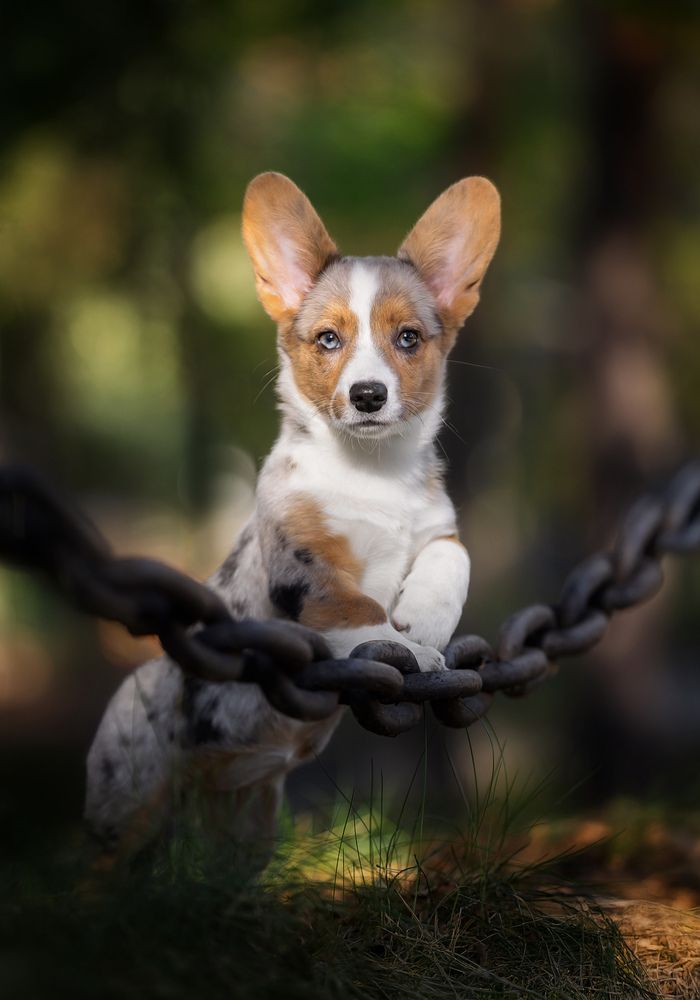 Photograph by Юлия Чайкина