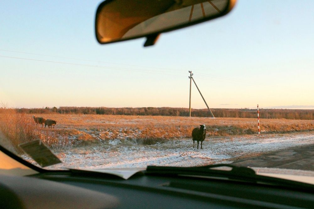 Photograph by Zhenya