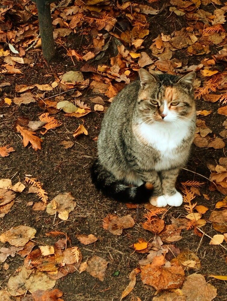 Photograph by Ия Дирко