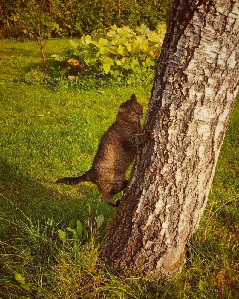 Photograph by Ия Дирко