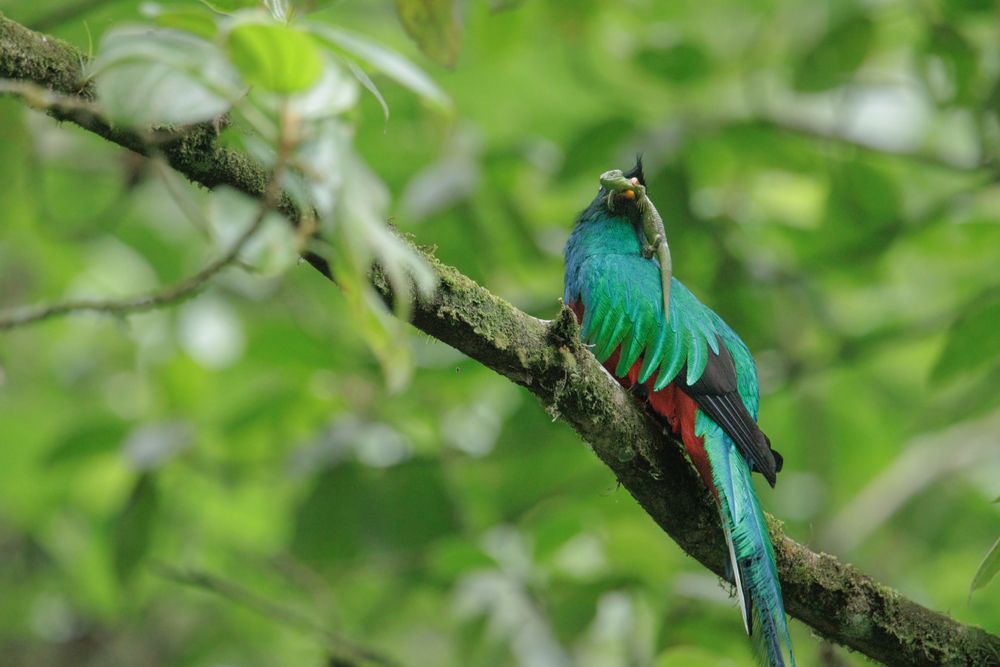 Photograph by Omar Carax