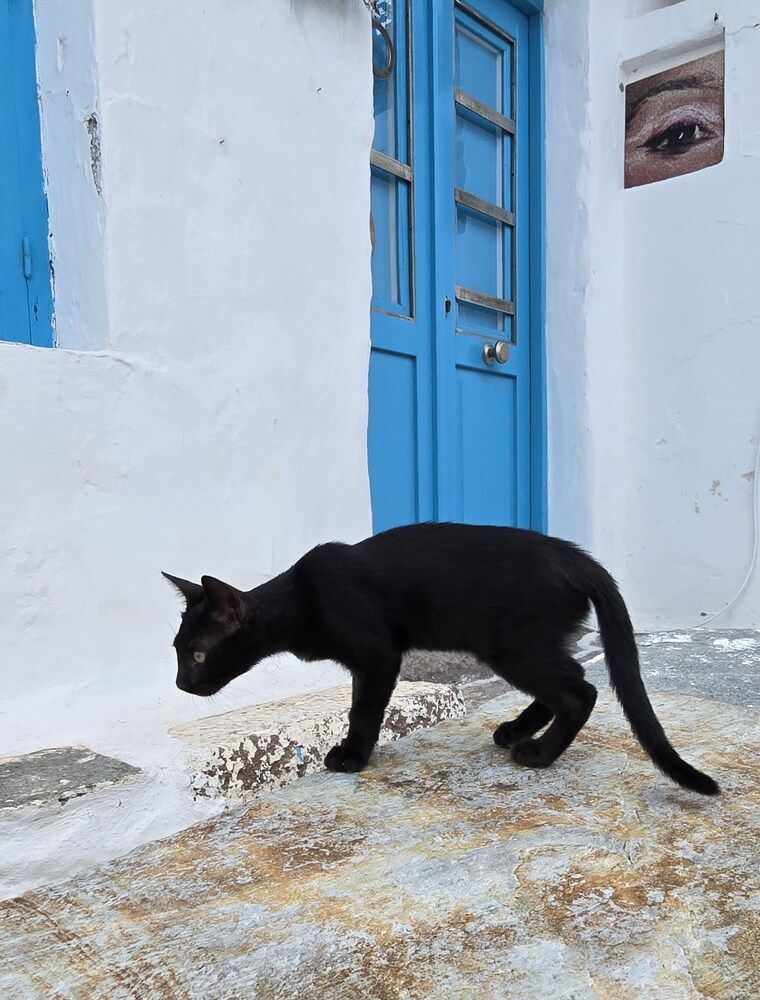 Photograph by Luba Kurchina