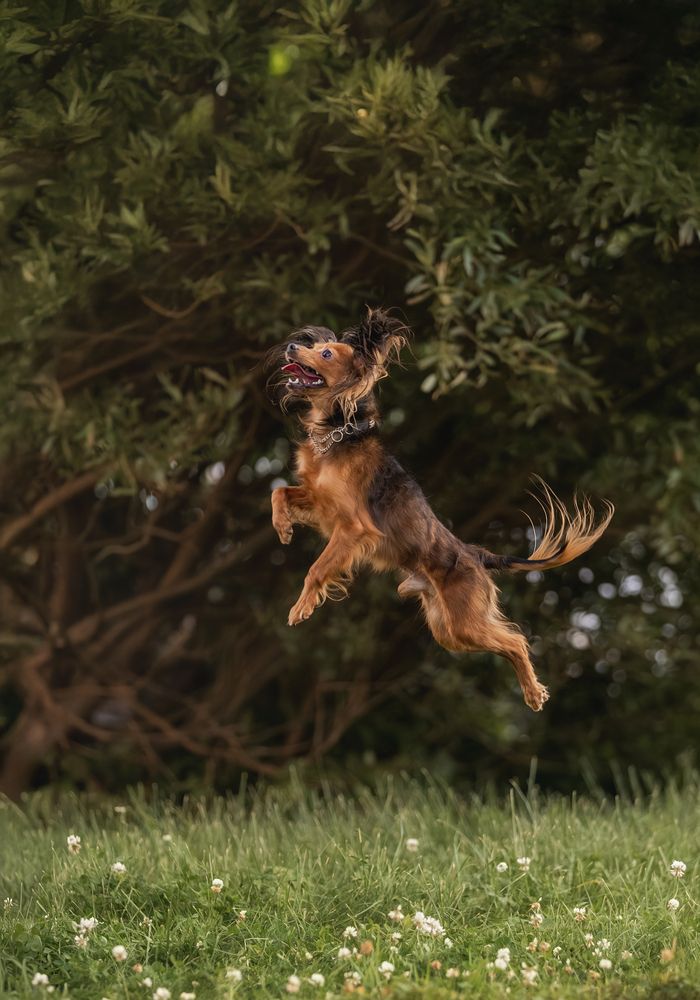 Photograph by Юлия Чайкина