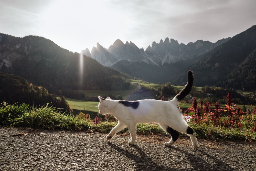 Фотография автора Ketov Vladimir