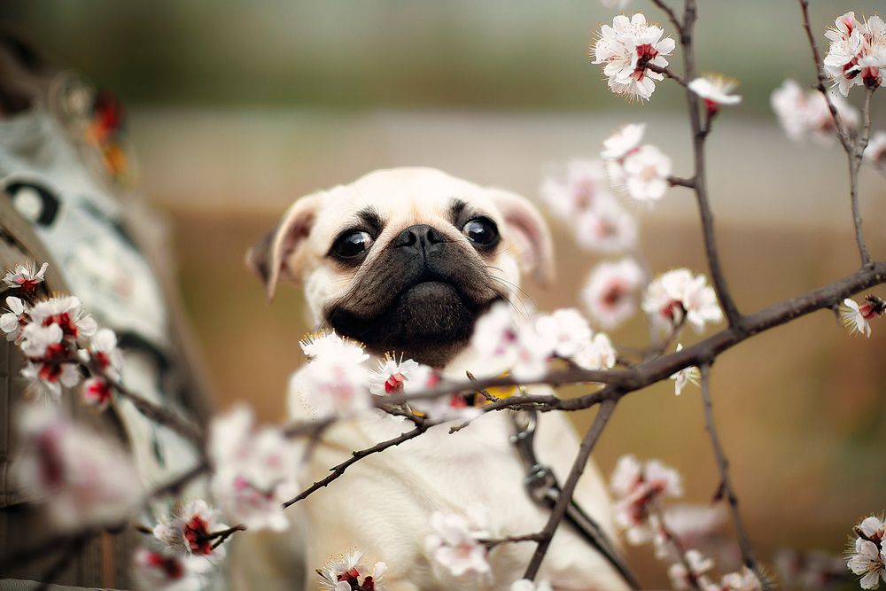 Photograph by Марина Фрейман