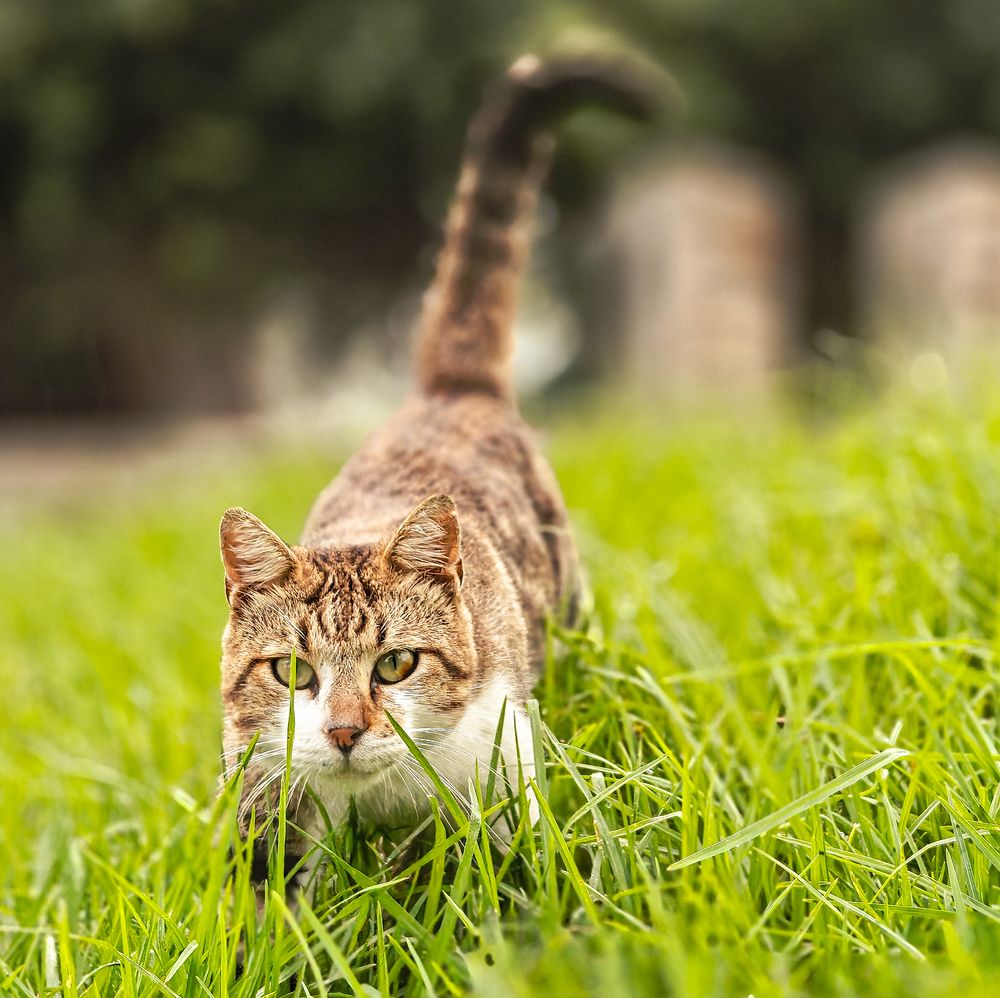 Photograph by Mohamed Larbi Larouk