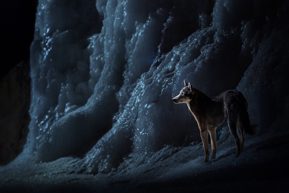 Photograph by Chantal Levesque