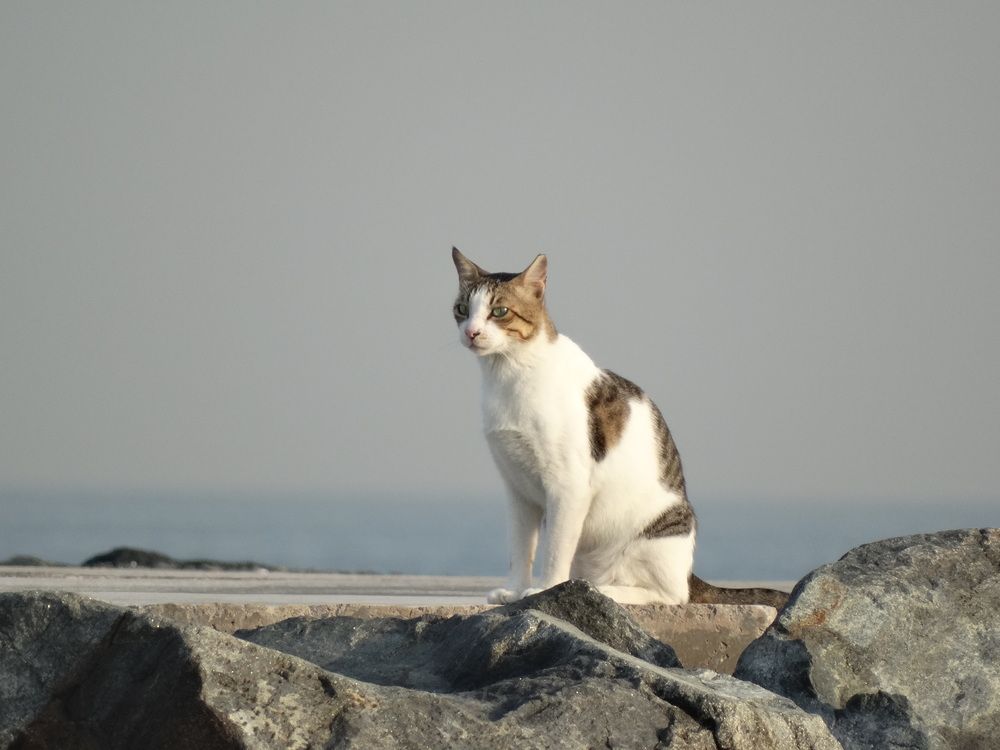 Photograph by Василь Гареев