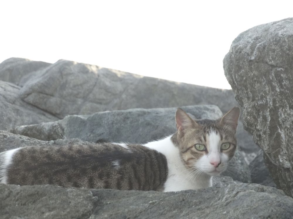 Photograph by Василь Гареев