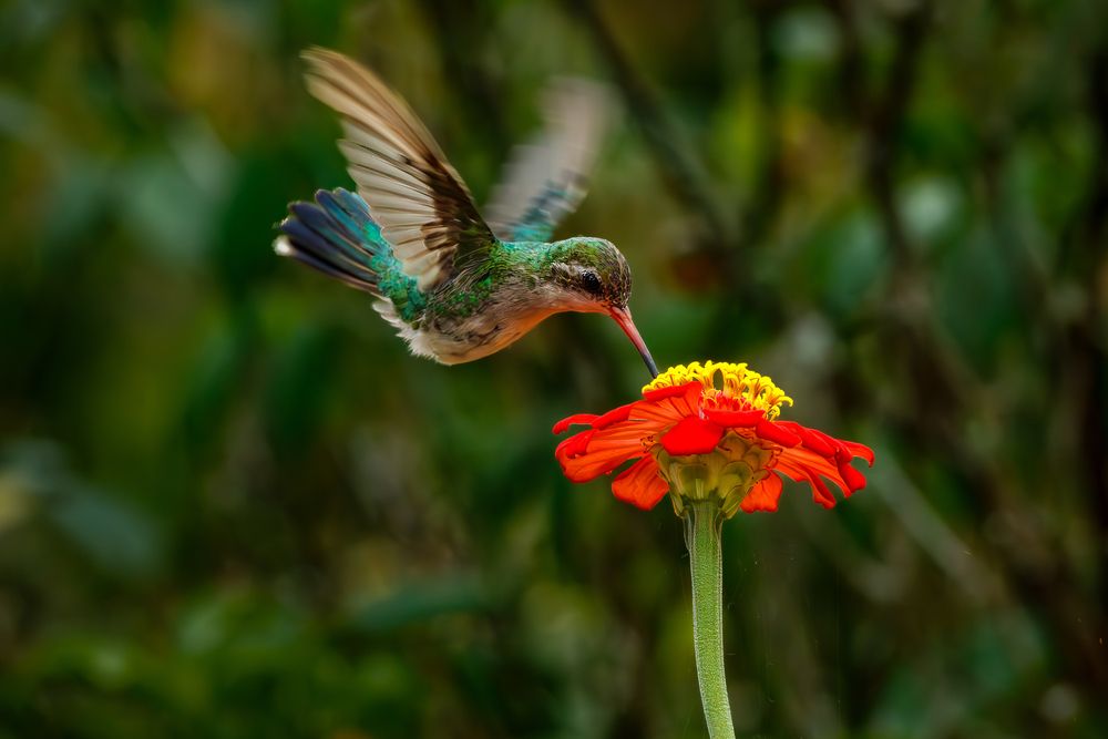 Photograph by Gabriel de Araujo Almeida