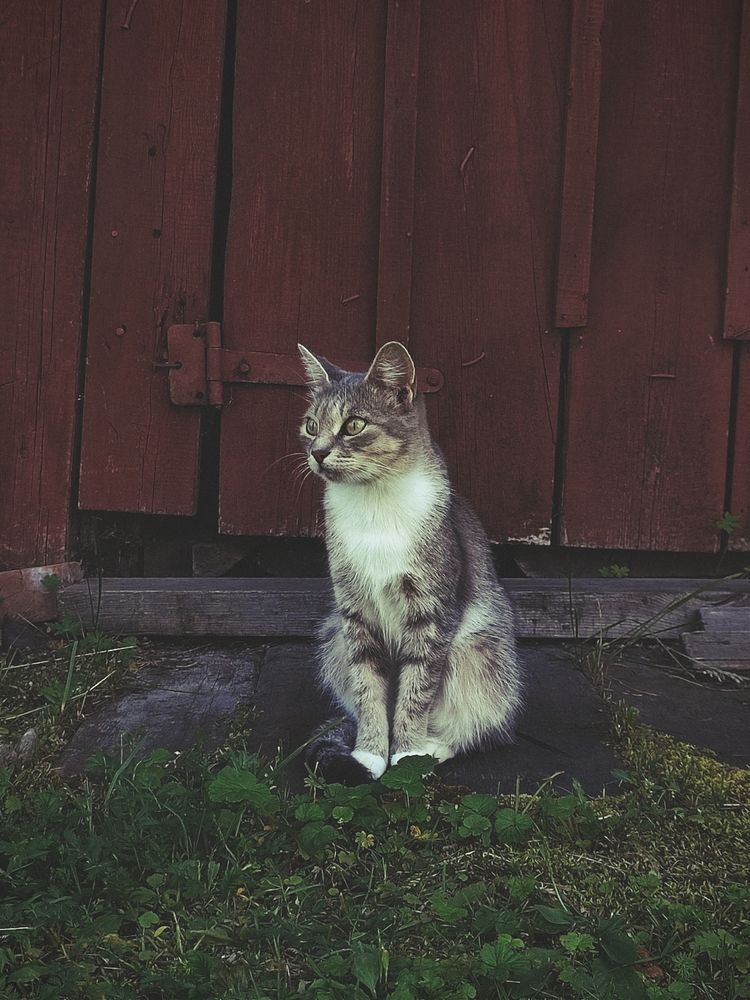 Photograph by Наталья Смирнова