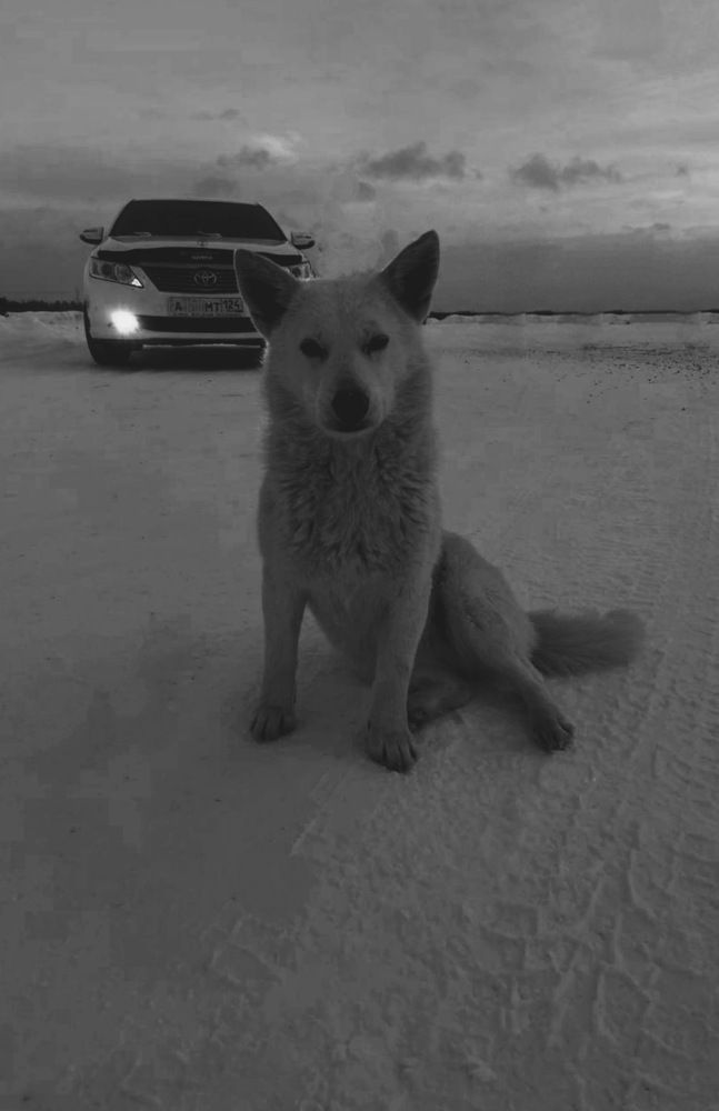 Photograph by Наталья Смирнова