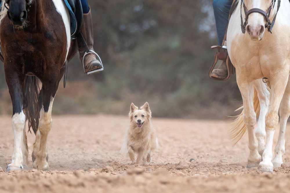 Photograph by esti lahat