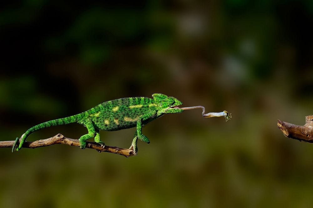 Photograph by Dhruv Shilpi