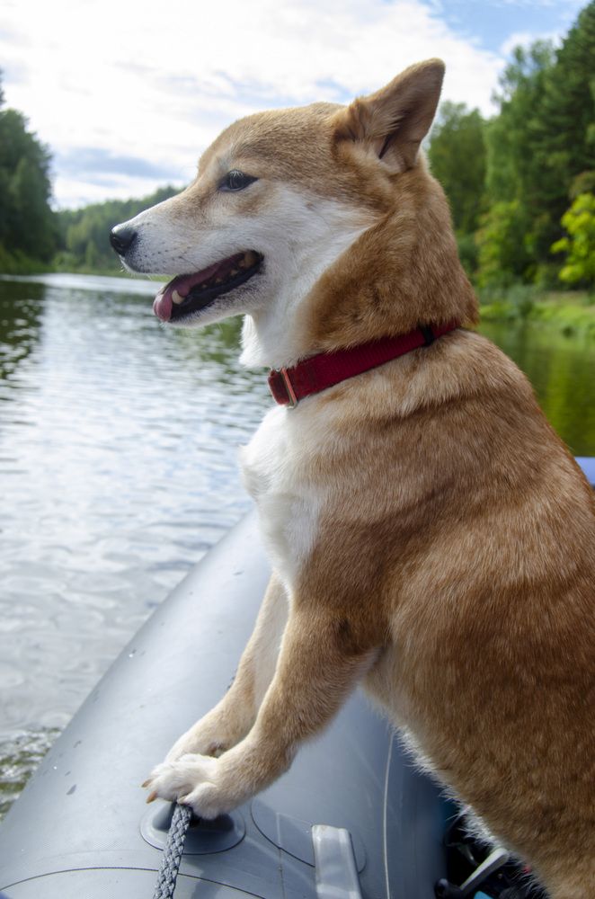 Photograph by Светлана Кудянова