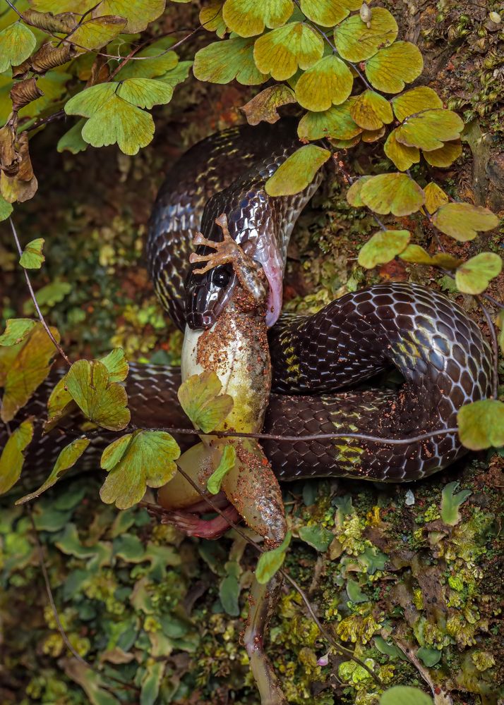 Photograph by Dhruv Shilpi