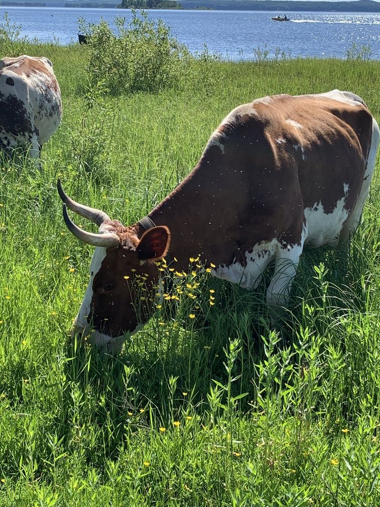 Photograph by Наталья Бирук