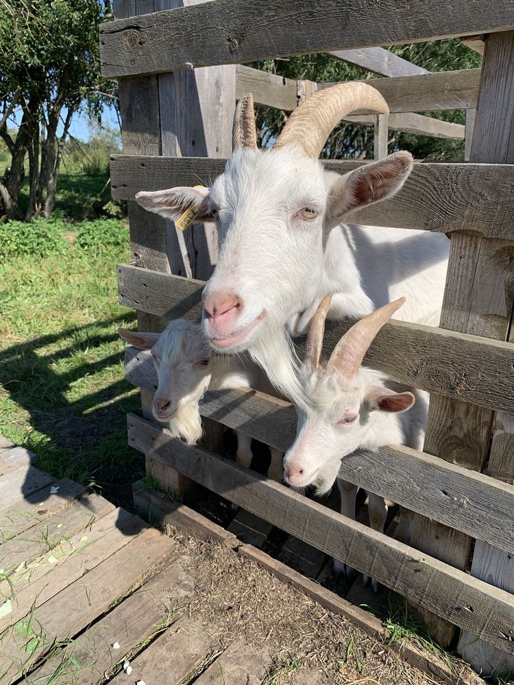 Photograph by Наталья Бирук