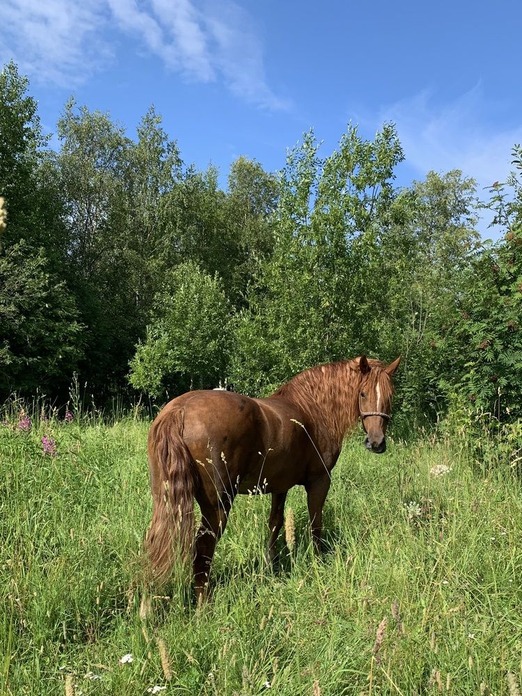 Photograph by Наталья Бирук