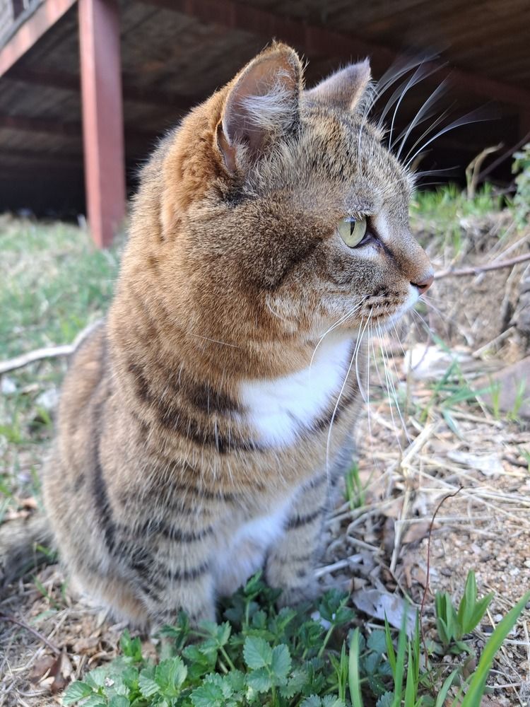 Photograph by Любовь Войтишина