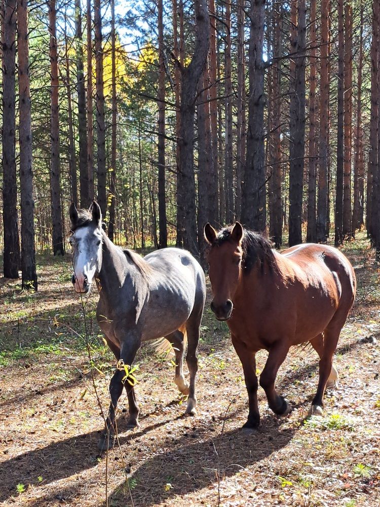 Photograph by Любовь Войтишина