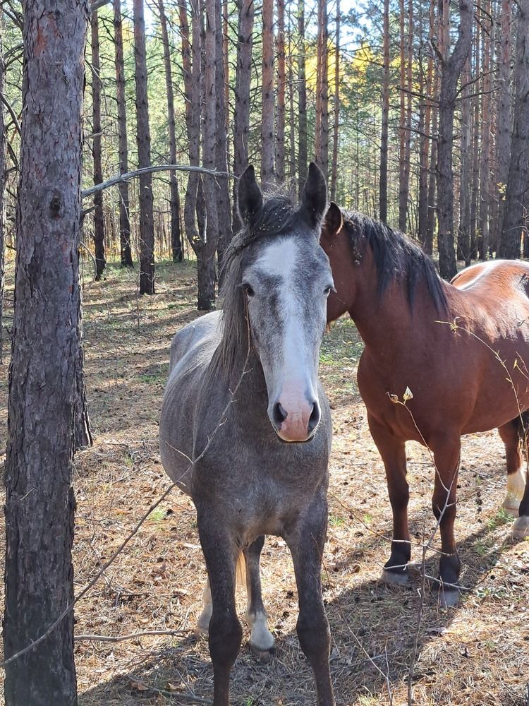 Photograph by Любовь Войтишина