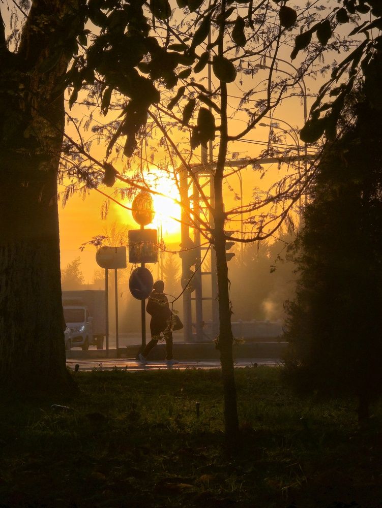 Photograph by A Lanko