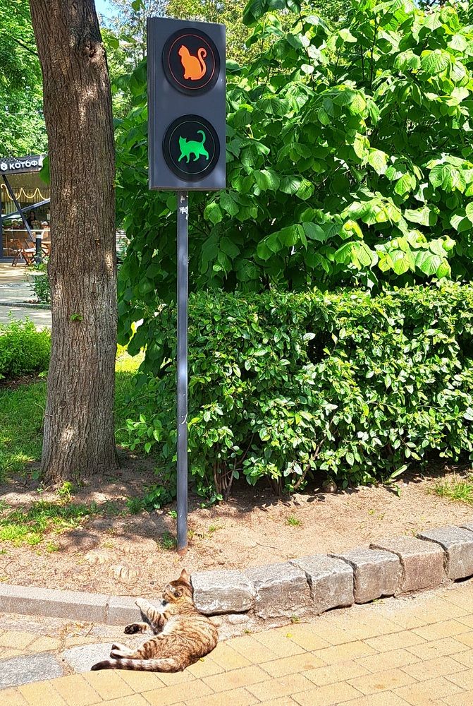 Photograph by Любовь Войтишина