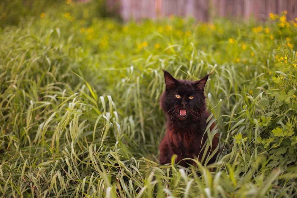 Photograph by Оксана Панина