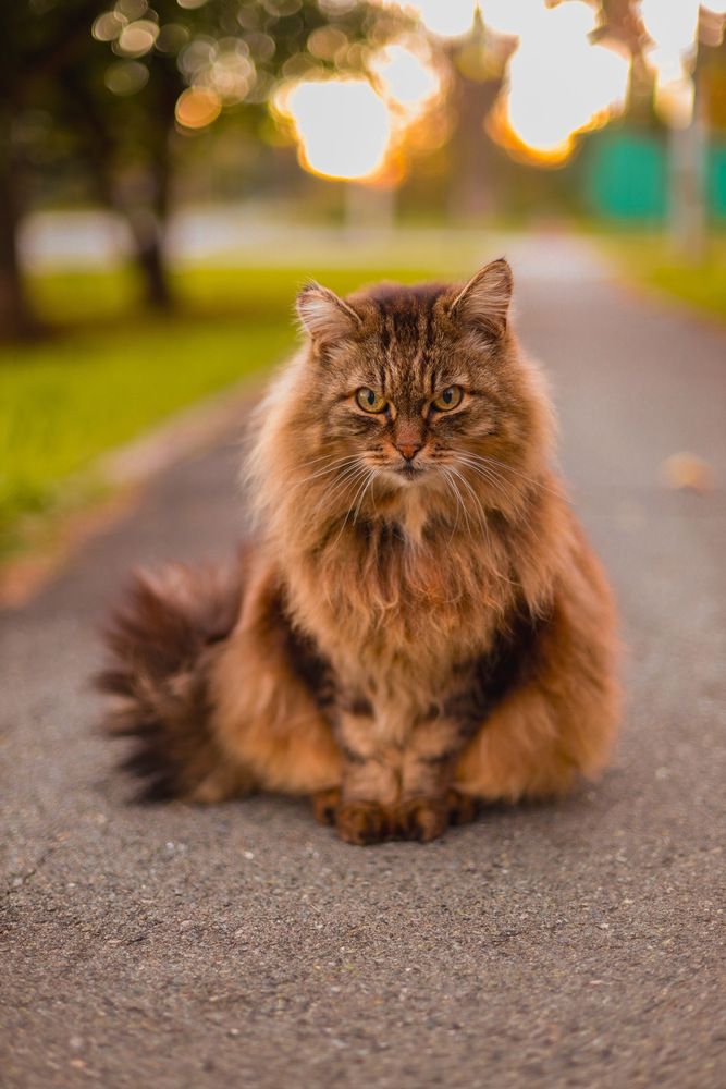 Photograph by Оксана Панина