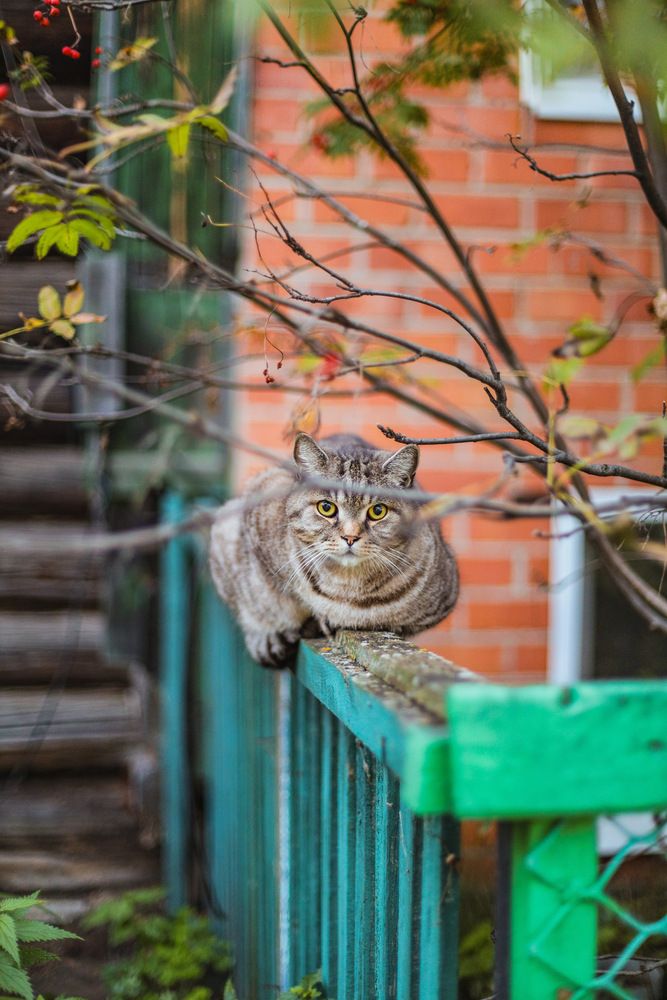 Photograph by Оксана Панина