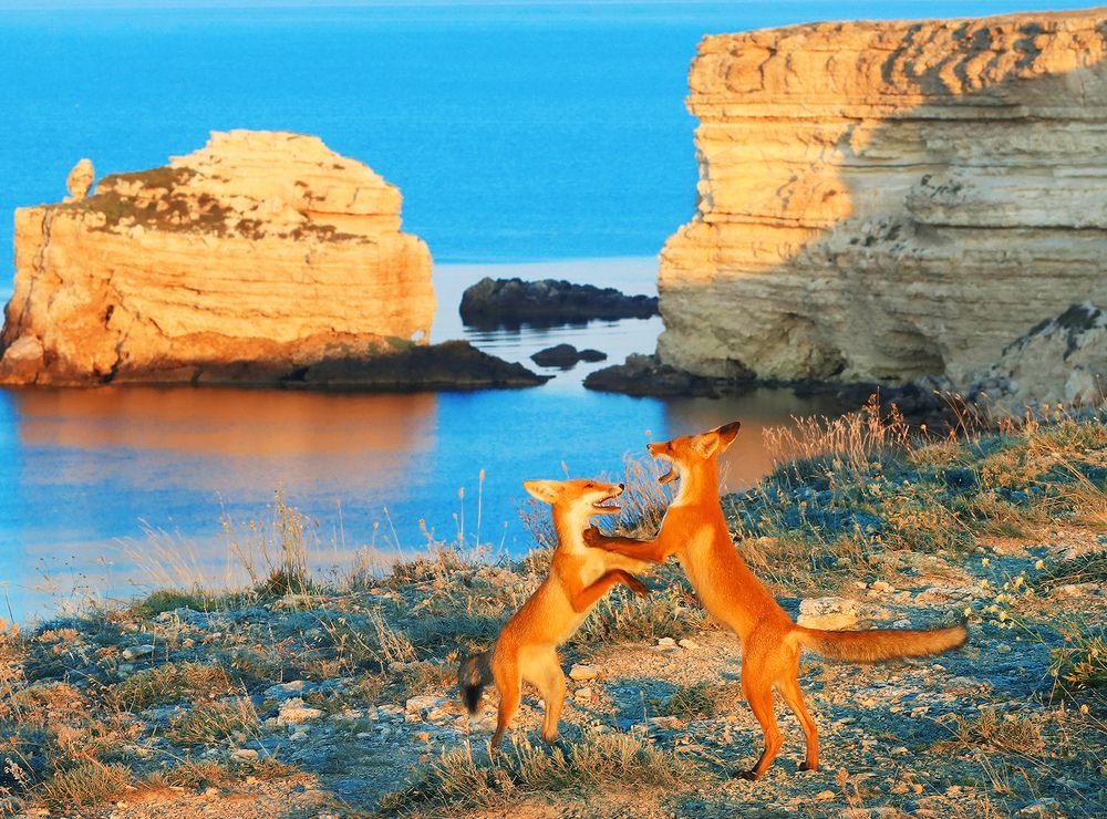 Photograph by Владимир Бочковский