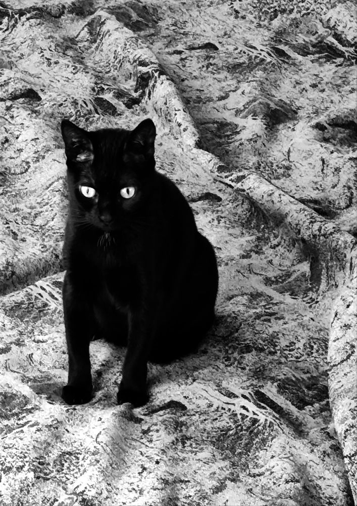 Photograph by Татьяна Пьянзина