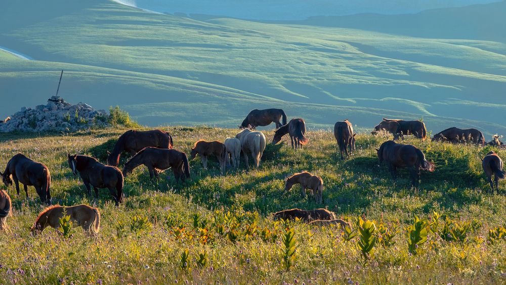 Фотография автора Вадим Коваленко