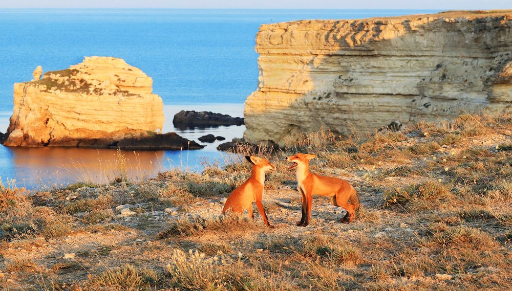Photograph by Владимир Бочковский