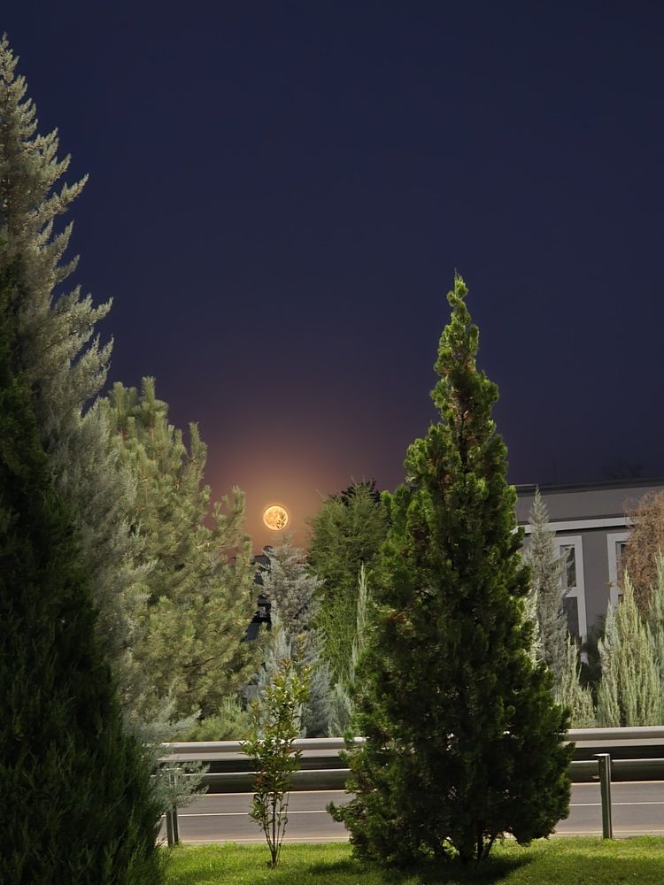 Photograph by A Lanko